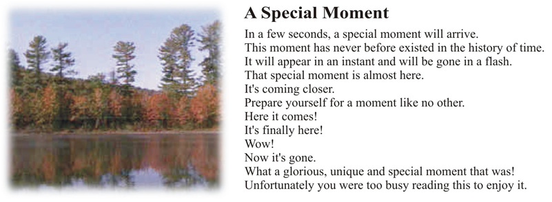 specialmoment.jpg